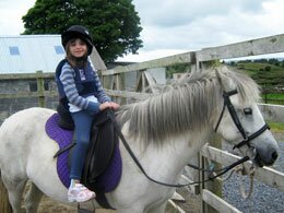 pony rides at kiltimagh pet farm